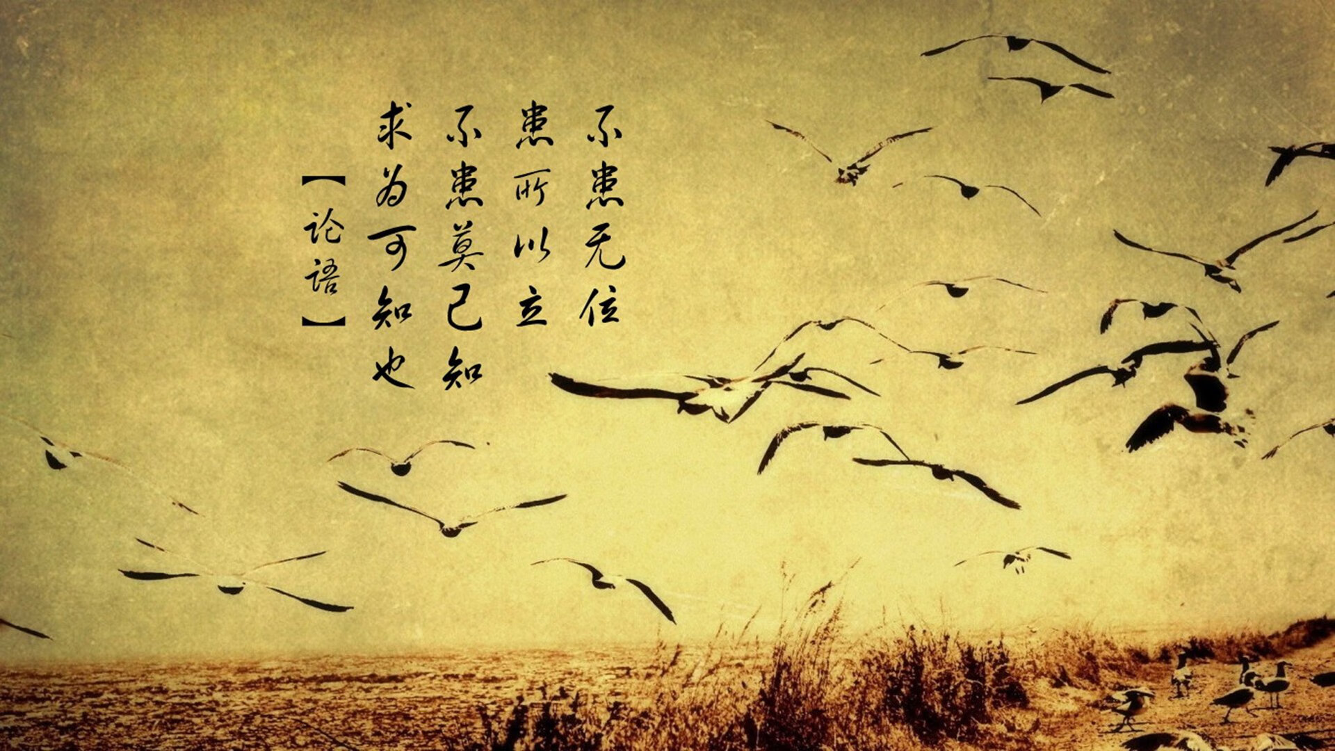 老兵的猎枪，波尔扣响扳机，奥地利队掀翻法国巨人