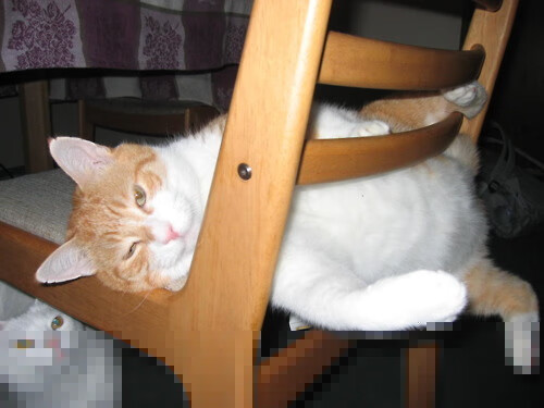 东方征途，黄黑风暴鏖战中国，哈兰德新王加冕夜