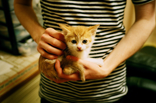 友谊赛的星空下，格列兹曼助墨西哥国家队3-0完胜曼联的震撼之夜