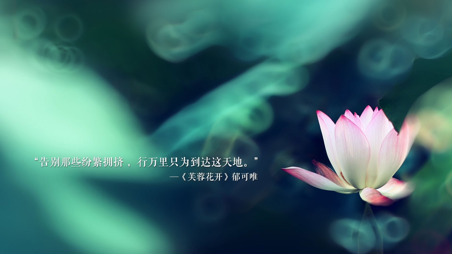 欧冠巅峰对决,尤文横扫德国战车,巴萨新星加维刷新历史纪录