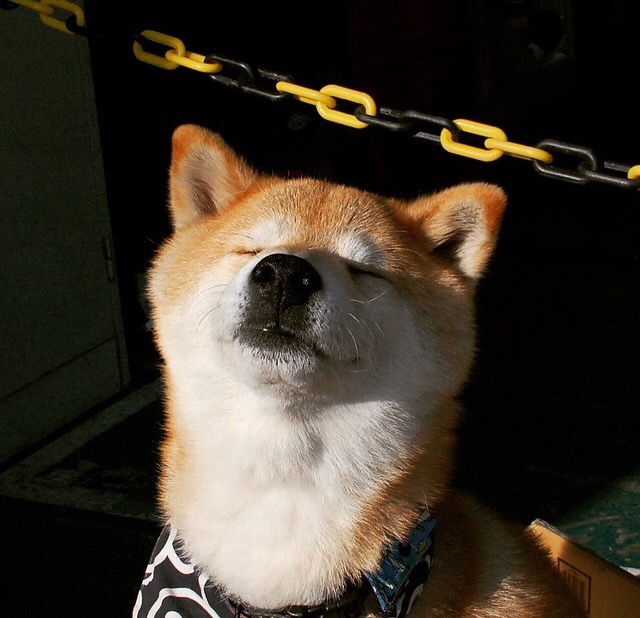 军团东征与北境战场,当罗马带走巴黎的夜晚,NBA季后赛高卢正在沦陷