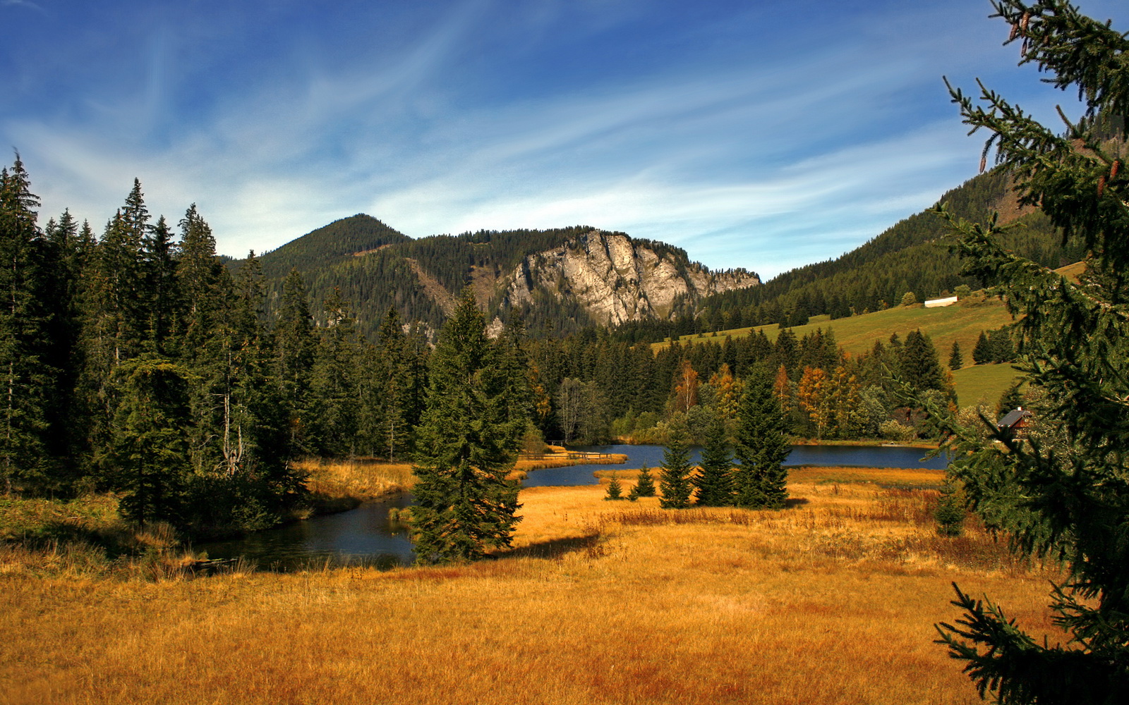 星光与风沙的对决,巴雷拉核动力驱动,国米穿越撒哈拉