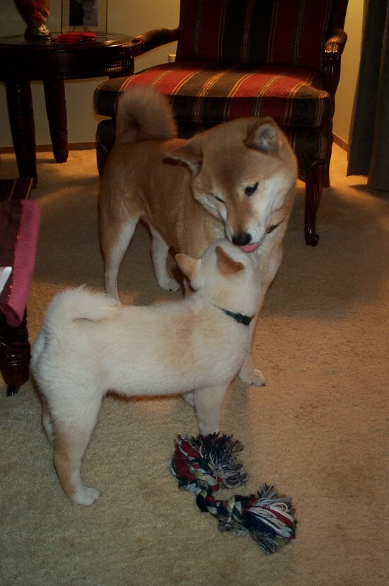 量子纠缠下的斗士,当湖人关键战遭遇乔治的欧冠接管时刻