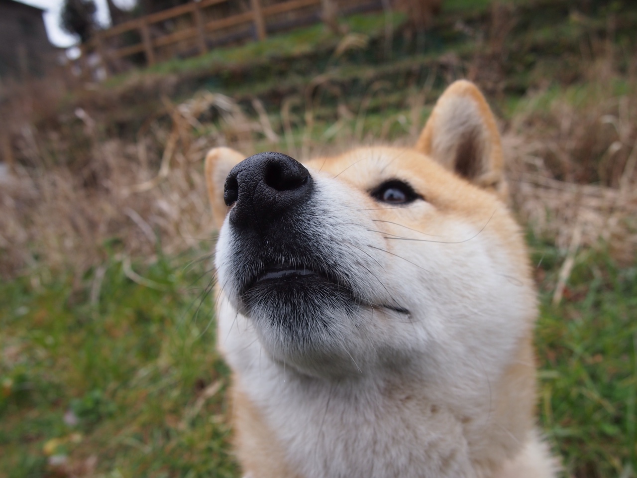 单节狂潮定基调,字母利刃斩迷局