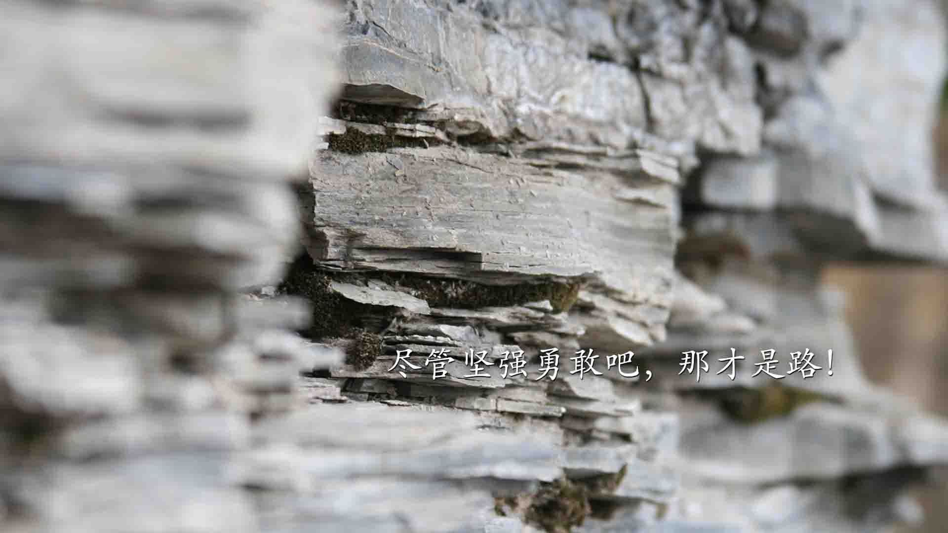 唯一钥匙,孔德如何用战术铁幕锁死几内亚,成为曼联防线的新基石