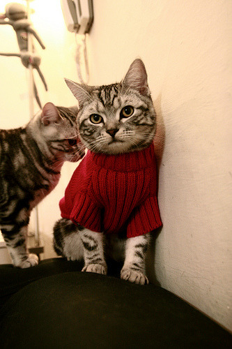 雷霆踏平掘金,抢七焦点战的唯一性胜利