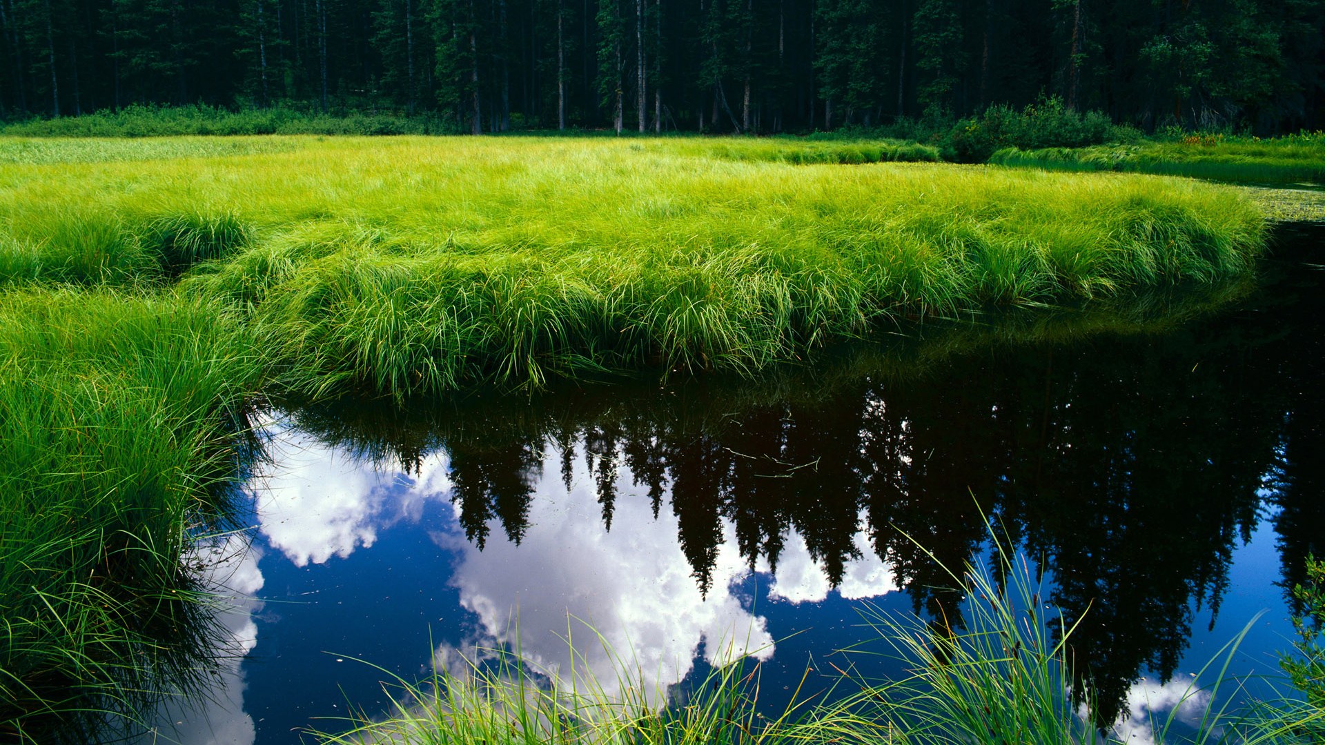 杜兰特证明之战,死神挥镰锁定圣城未来核心