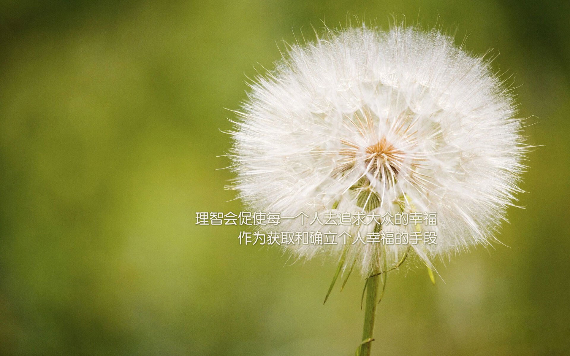 当欧冠半决赛夜遇见塔图姆时刻，一场跨越时空的绝杀共振