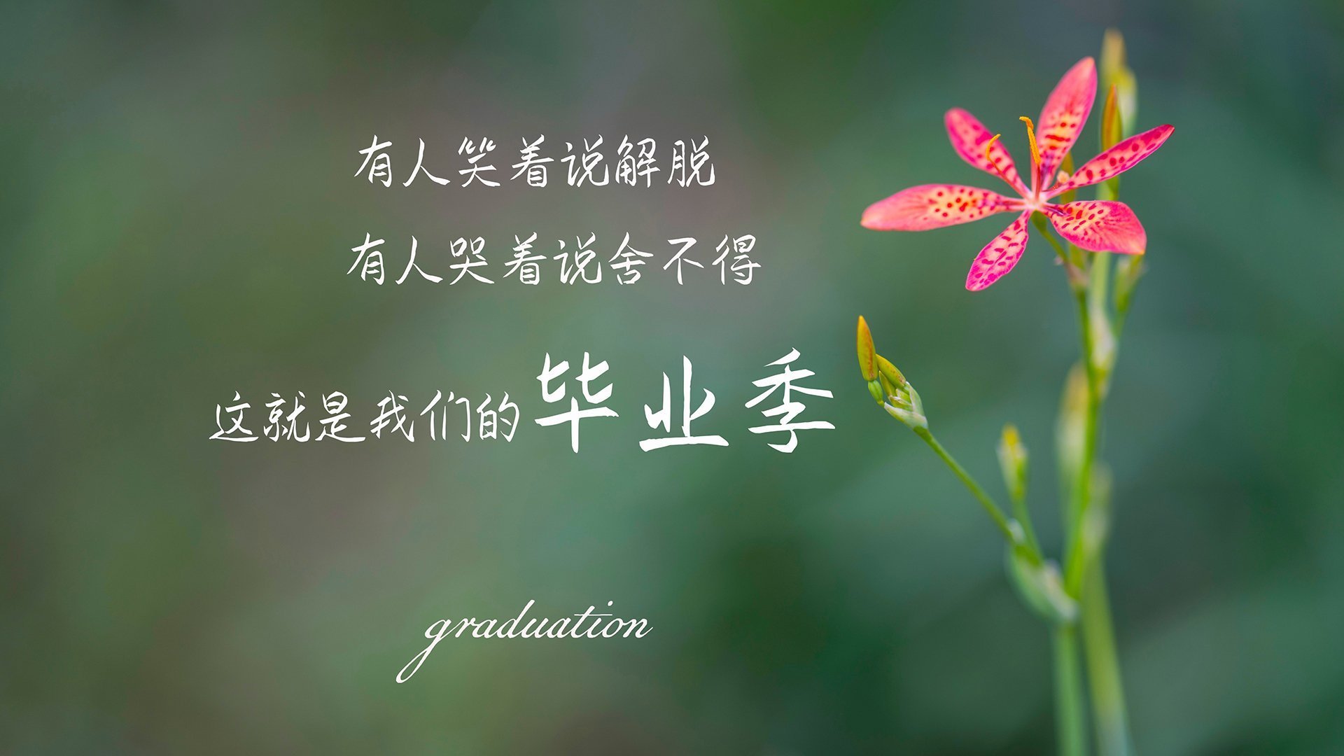 当黄金之心遇见蔚蓝海岸，德布劳内率领加纳国奥关键战击沉马赛