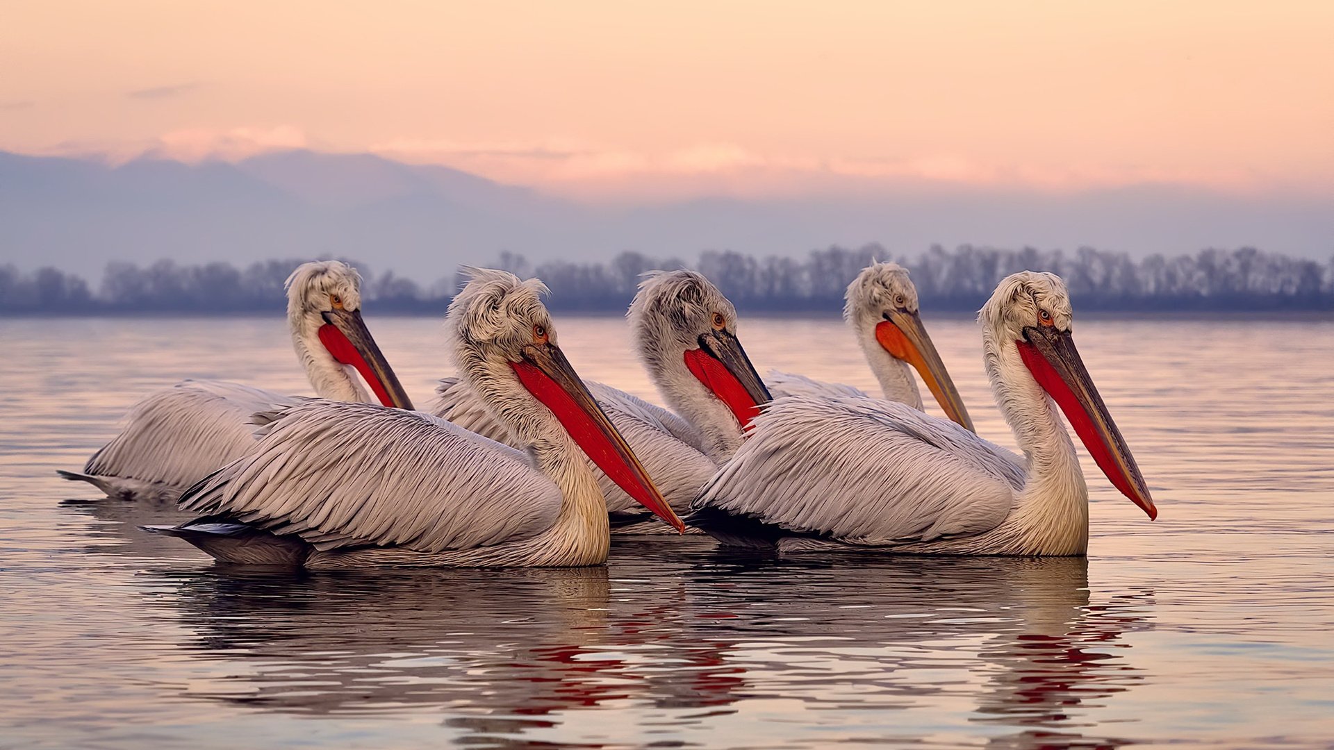 平行宇宙的碰撞，快船血拼浙江队，米切尔成为撕裂次元壁的关键先生