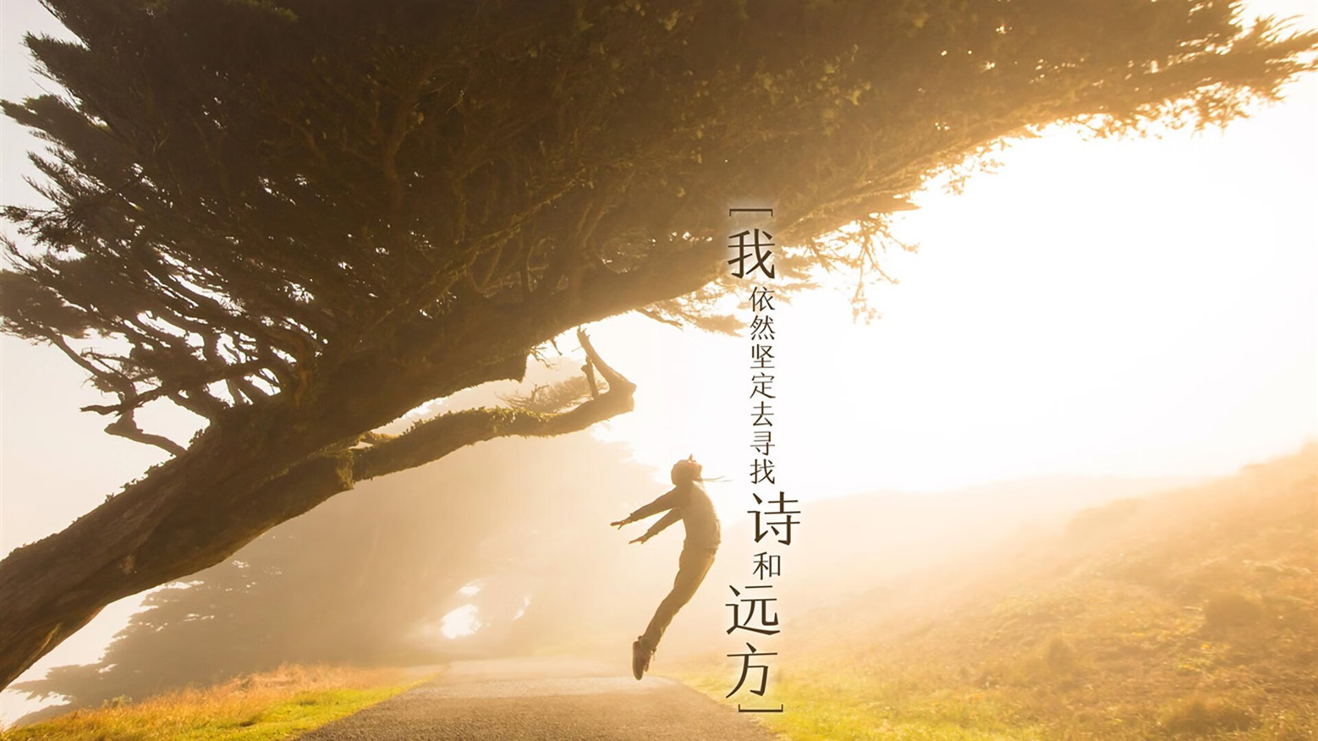 黄喜灿闪耀全场！安哥拉力擒国际米兰，点燃非洲足球复兴之火