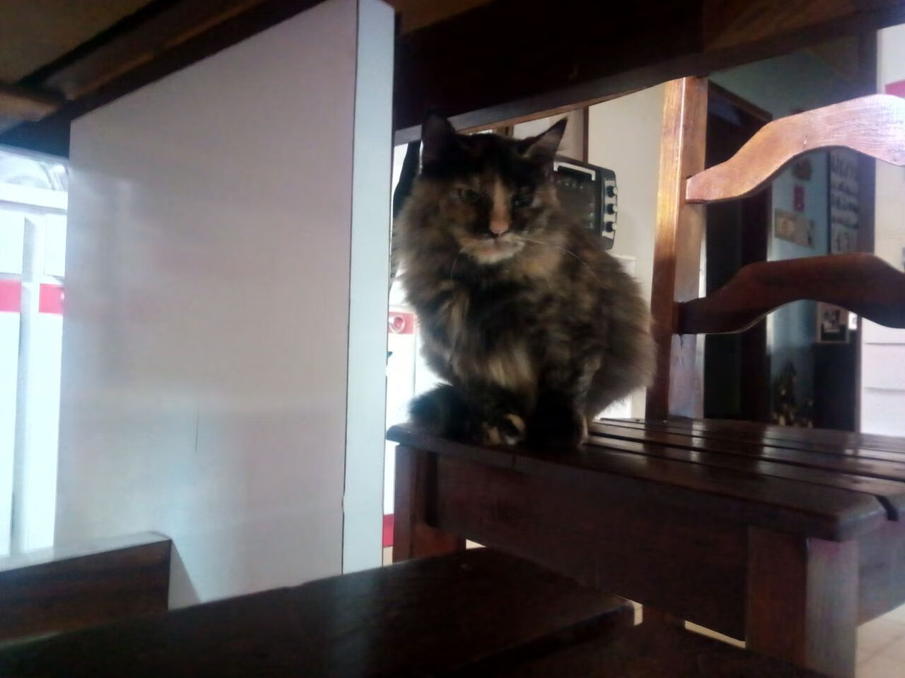 锋群咆哮破魔术!森林狼抢七决胜缔造历史