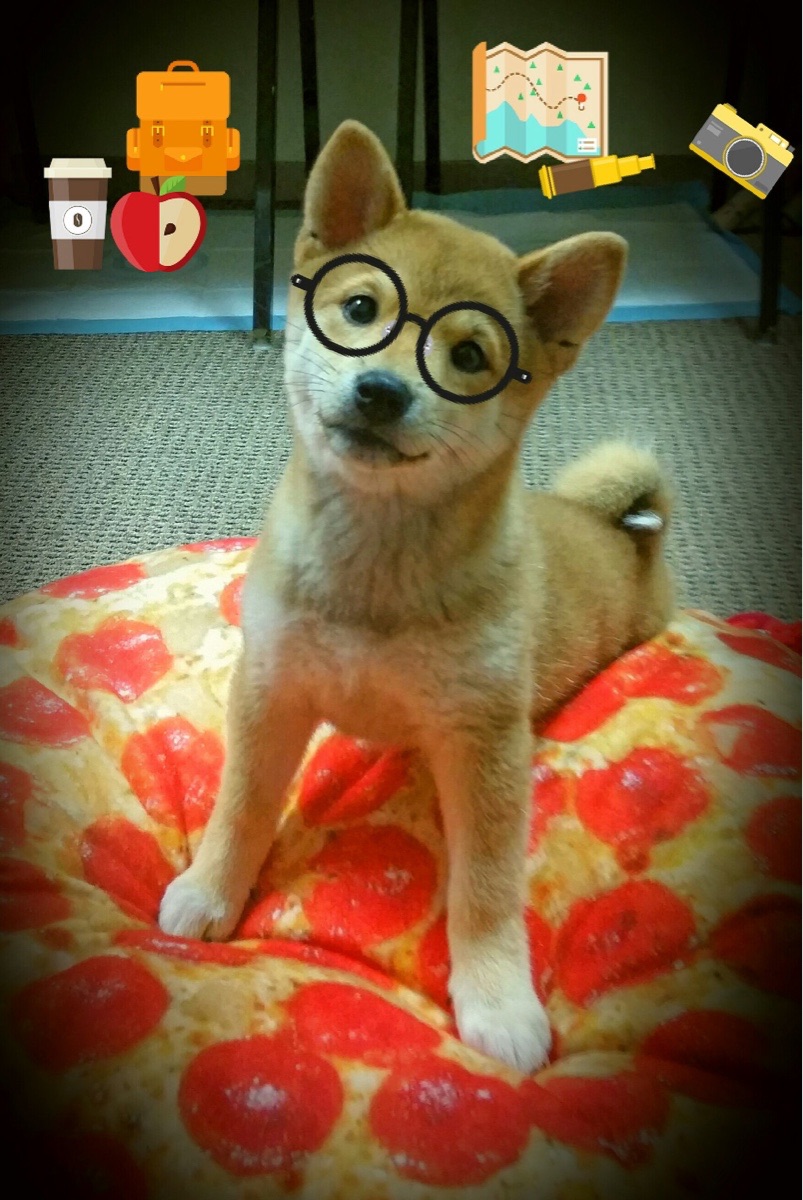 足球之夜的双生火焰,北欧铁壁与桑巴魔法的交响