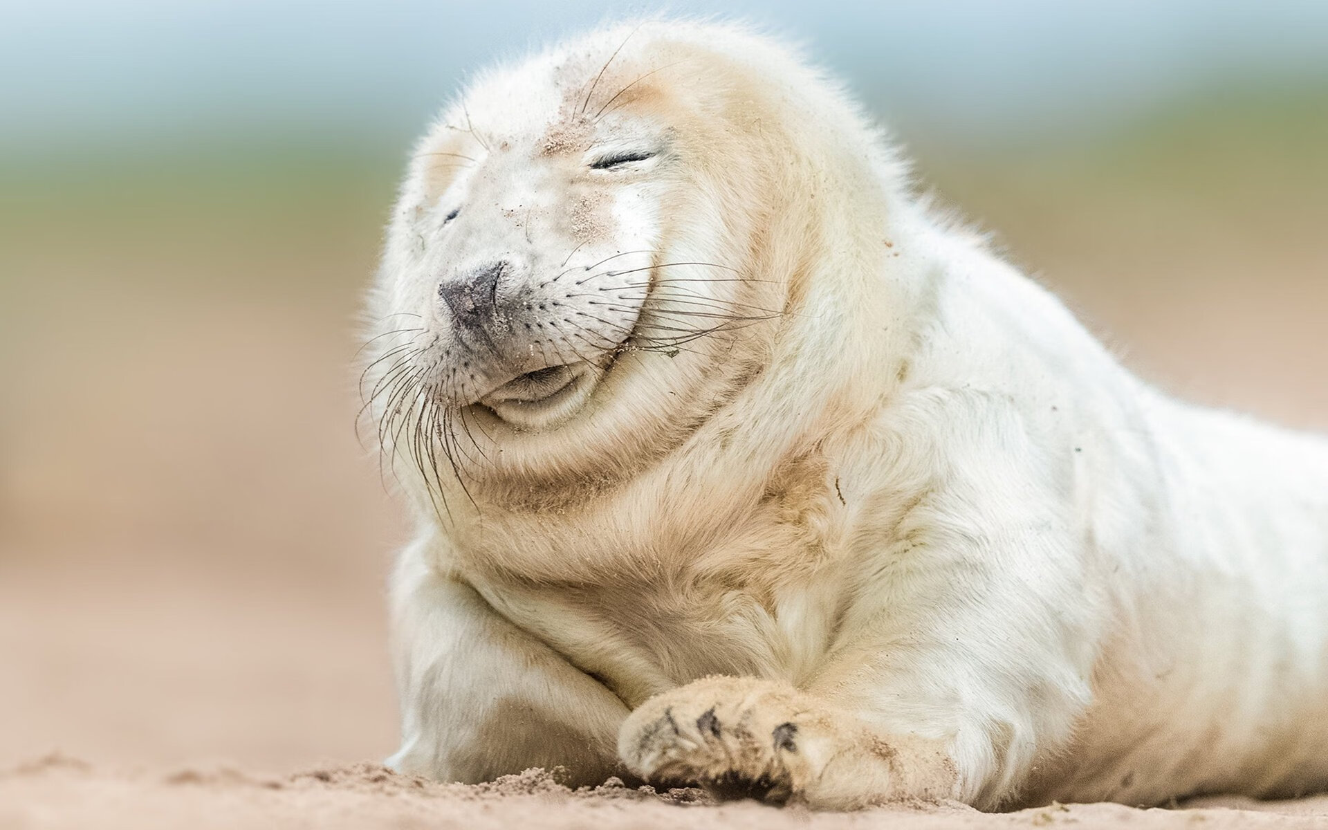 峡谷回响，杰伦·格林的终场三分与冠军加冕