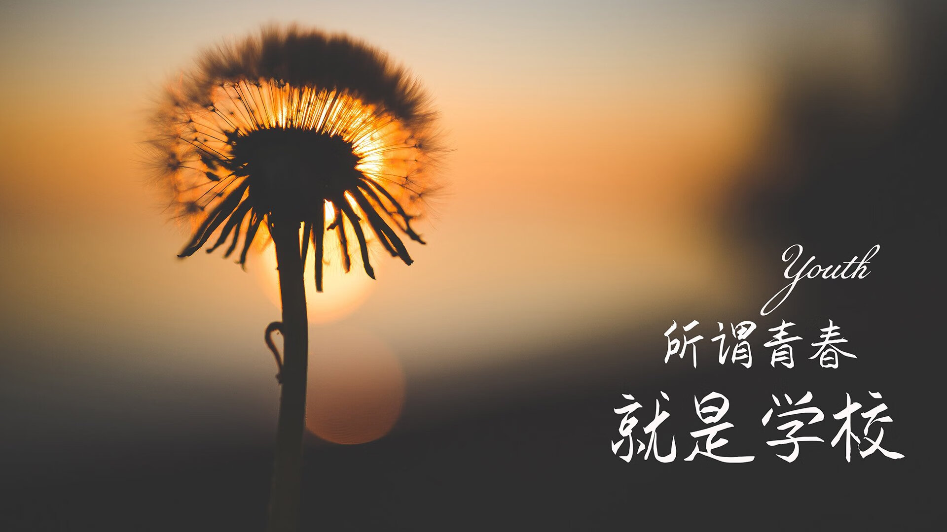 这是一篇基于您提供的关键词构思的文章。标题采用了悬念+爆点的结构，内容则围绕唯一性与史诗逆转展开，强调这场比赛在世界杯历史上的不可复制性